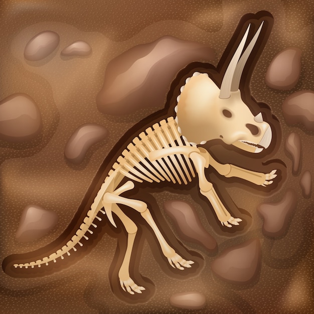 Importante descubrimiento científico del sitio de excavación arqueológica de huesos de dinosaurios en tonos