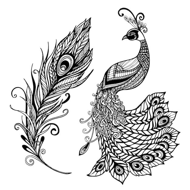 Impresión del doodle del diseño de la pluma del pavo real negro