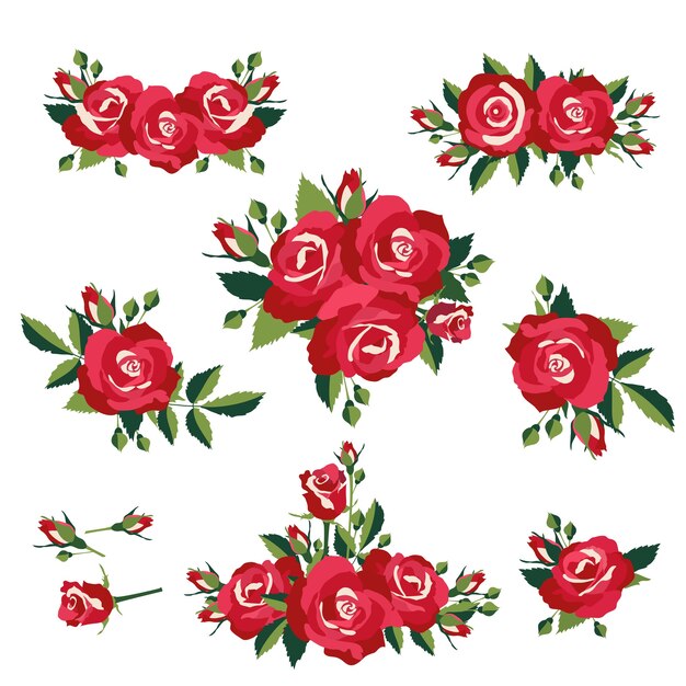 Inflorescencia o ramos de rosas ilustración vectorial