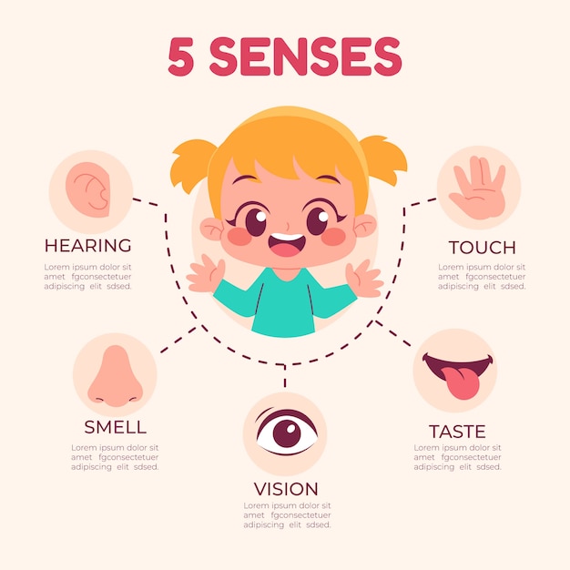 Vector gratuito infografía de los 5 sentidos dibujada a mano