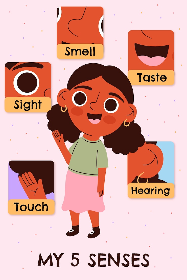 Vector gratuito infografía de los 5 sentidos dibujada a mano