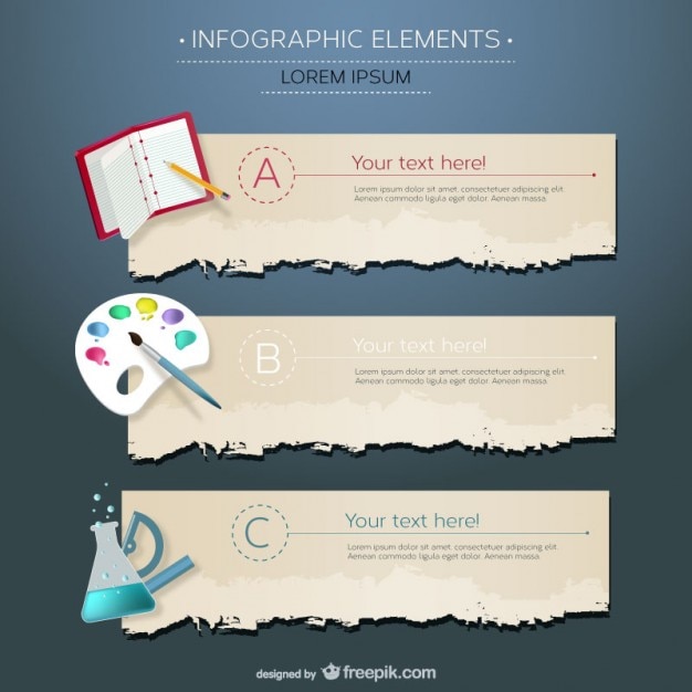 Infografía de campos de la educación