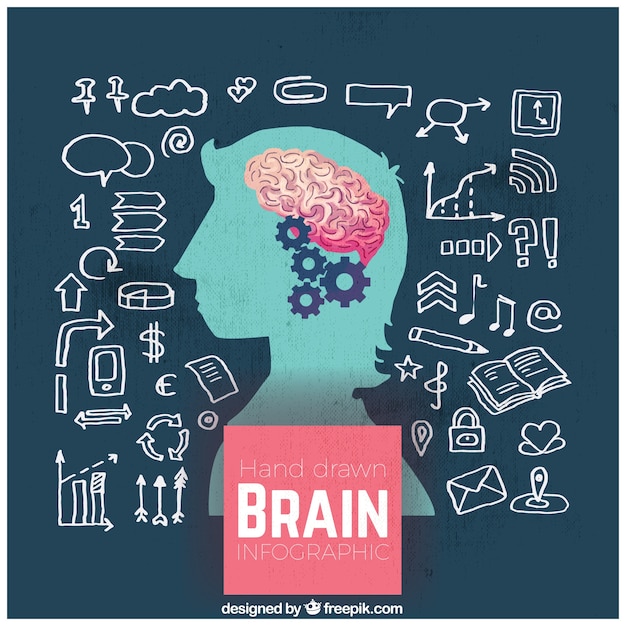 Infografía de cerebro humano dibajada a mano