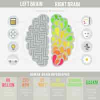 Vector gratuito infografía de cerebro humano en diseño plano