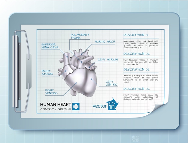 Infografía de ciencia médica