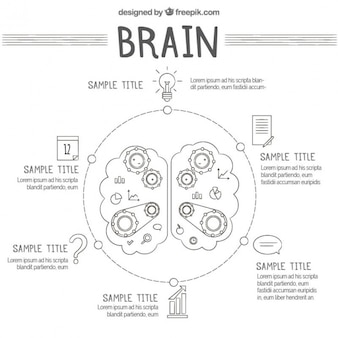 Infografía circular del cerebro humano con engranajes