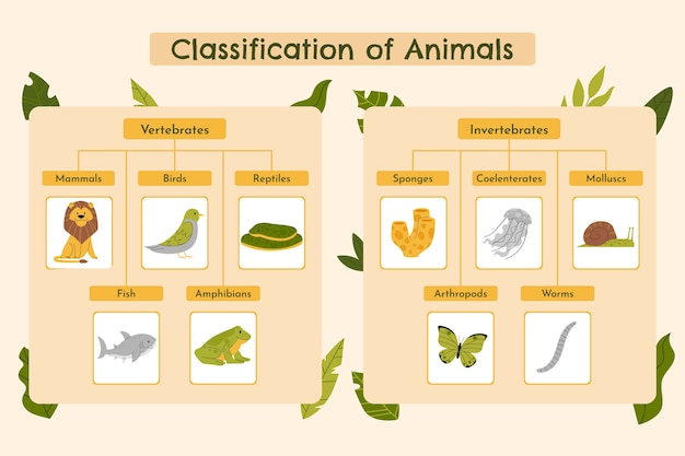 Infografía de clasificación de animales dibujada a mano