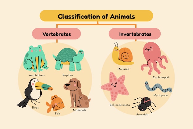 Vector gratuito infografía de clasificación de animales dibujada a mano