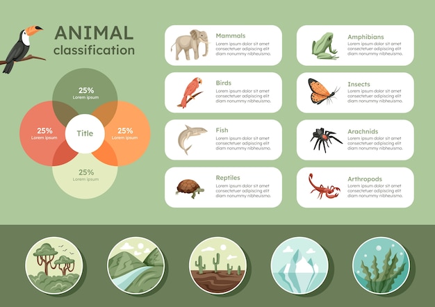 Infografía de clasificación de animales dibujada a mano