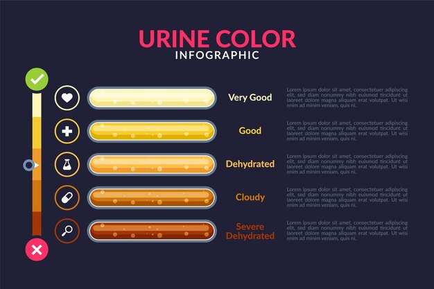 Infografía de color de orina de diseño plano