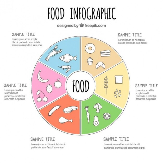 Infografía de comida dibujada a mano