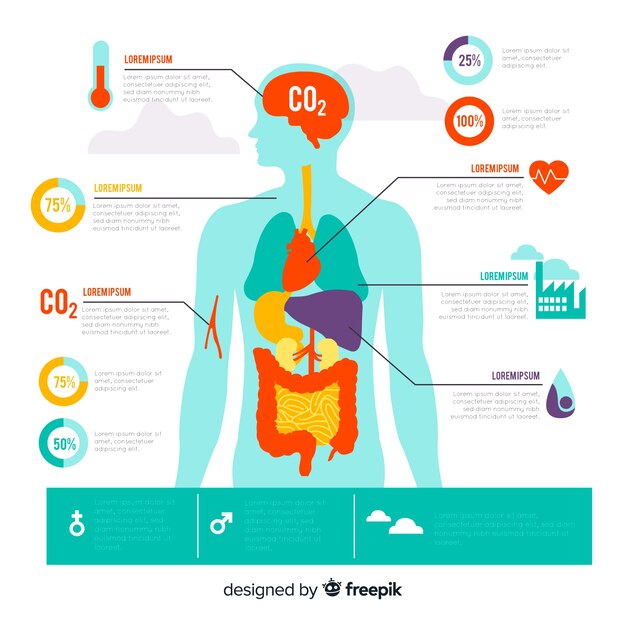Infografía de contaminación en el cuerpo humano