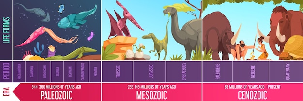 Vector gratuito infografía de dibujos animados con períodos de eras paleozoicas y cenozoicas de escala geológica y formas de vida ilustración vectorial