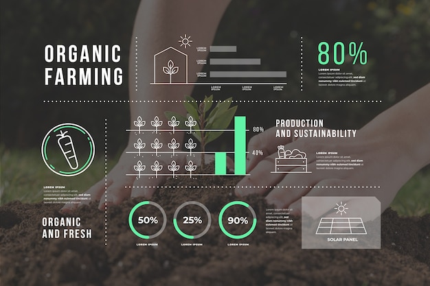 Vector gratuito infografía de ecología con foto