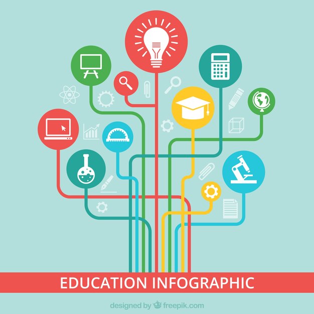 Infografía de educación de colores