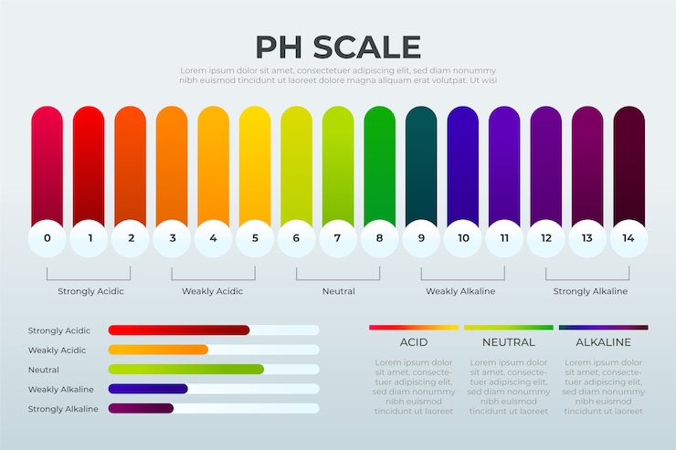 Vector gratuito infografía de escala de ph de gradiente