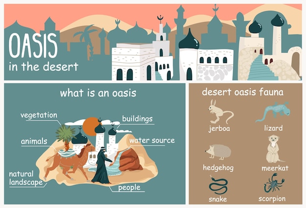 Vector gratuito infografía en estilo plano que muestra lo que es un oasis en el desierto con su ilustración vectorial de fauna