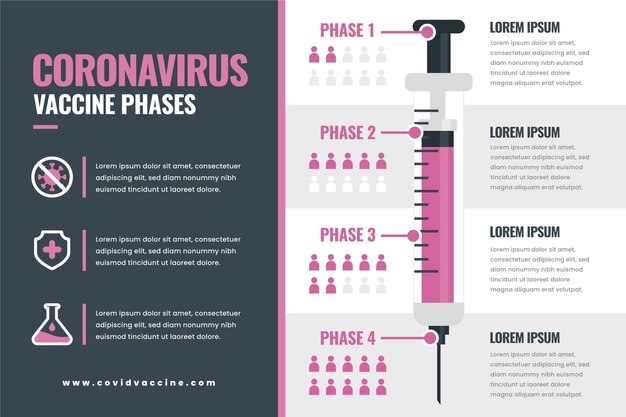 Infografía de fases de vacuna plana de coronavirus.