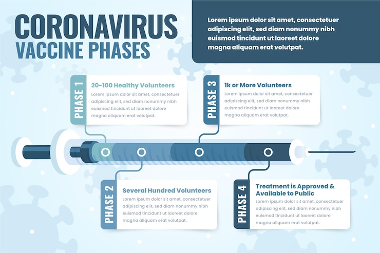 Vector gratuito infografía de fases de vacuna plana de coronavirus.