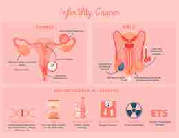 Vector gratuito infografía de infertilidad de diseño plano dibujado a mano