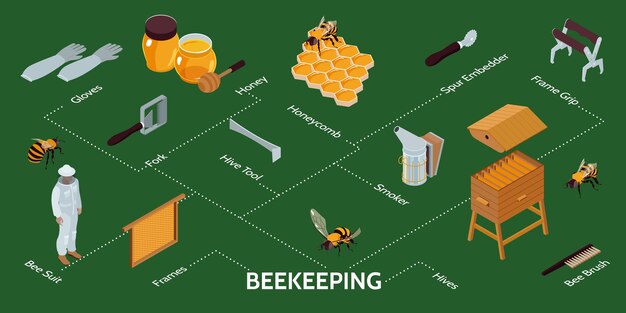 Infografía isométrica de apicultura con equipo de colmenas agricultor con traje protector sobre fondo verde ilustración vectorial 3d