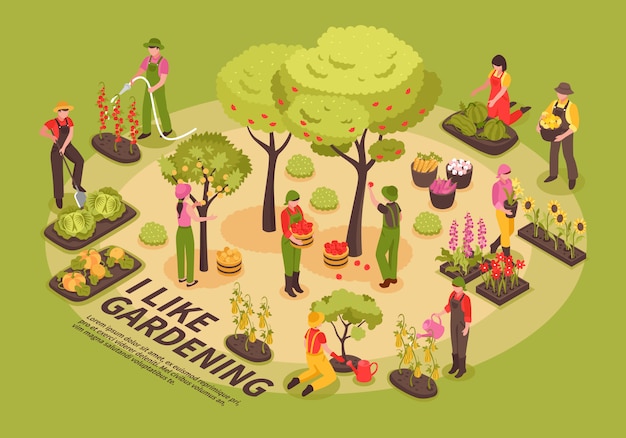 Infografía isométrica de jardinería
