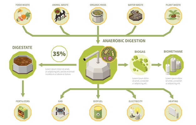 Infografía isométrica del proceso de producción de electricidad de biogás con tipos de residuos orgánicos digestión anaeróbica digestato 3d ilustración vectorial