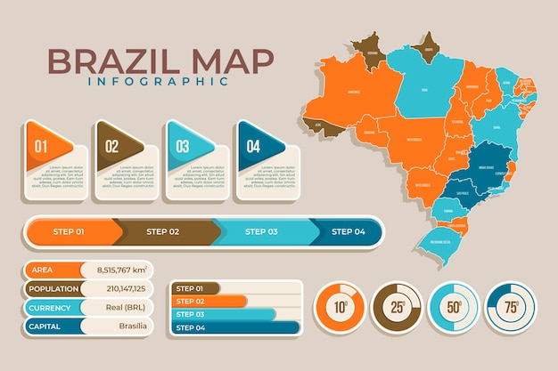 Infografía de mapa de brasil plana