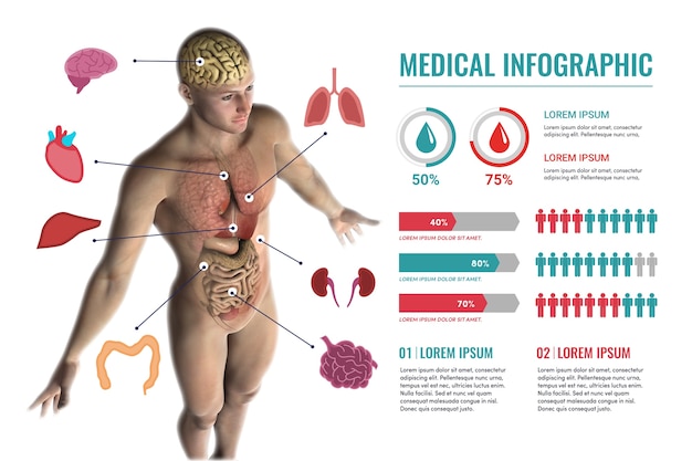 Vector gratuito infografía médica con anatomía.