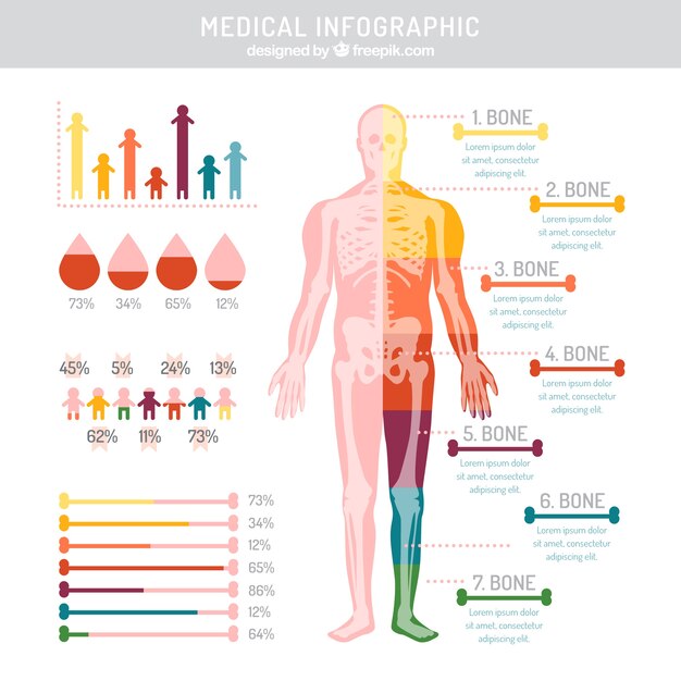 Infografía médica de colores