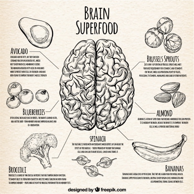 Vector gratuito infografía con la mejor comida para el cerebro