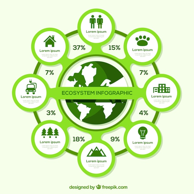 Infografía moderna de ecosistema con diseño plano