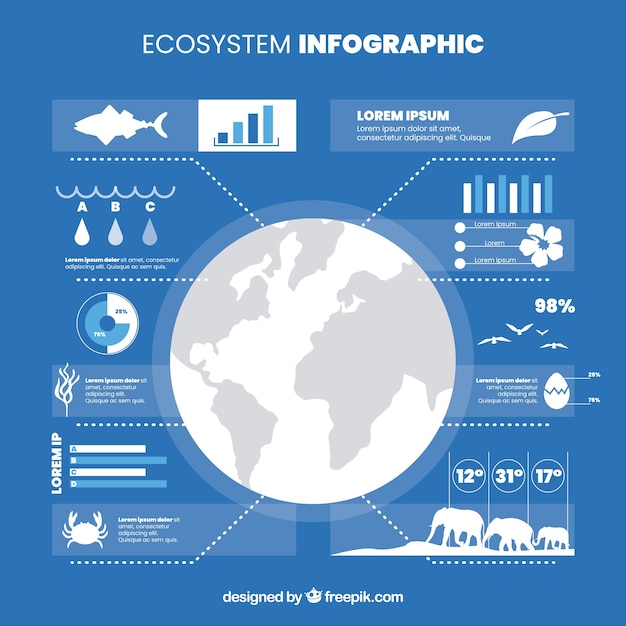 Infografía moderna de ecosistema con diseño plano