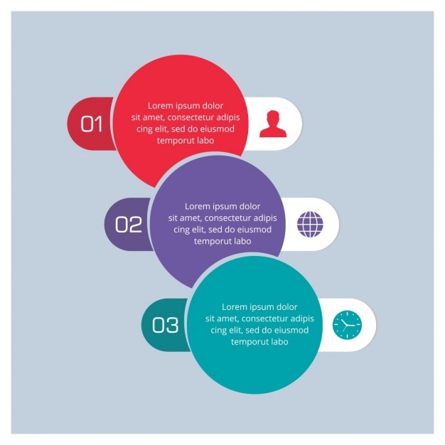 Infografía con opciones, formas circulares