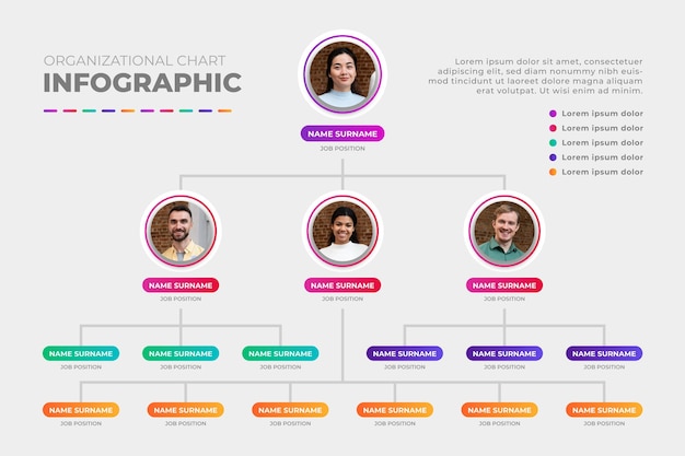 Vector gratuito infografía de organigrama degradado con foto