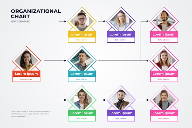 Infografía de organigrama plano lineal con foto