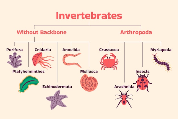 Infografía de pérdida de biodiversidad dibujada a mano