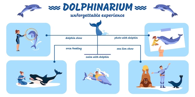 Infografía plana delfinario con delfines y leones marinos muestran fotos orca alimentando nadando con animales ilustración vectorial