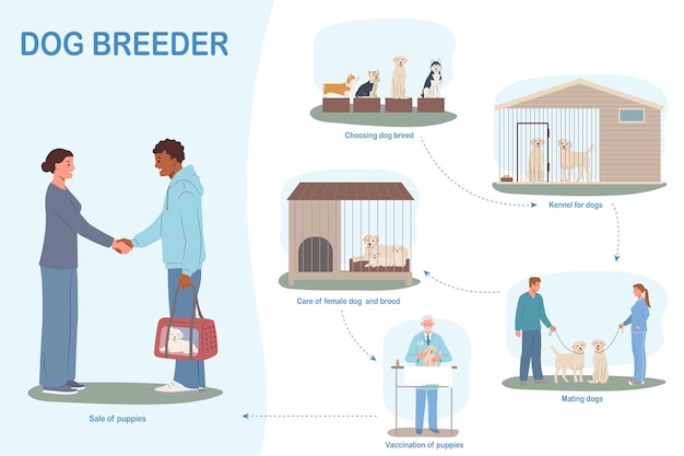 Vector gratuito infografía plana de negocios de criadores de perros con un conjunto de composiciones aisladas con vacunación de apareamiento de perreras e ilustración de vectores de venta