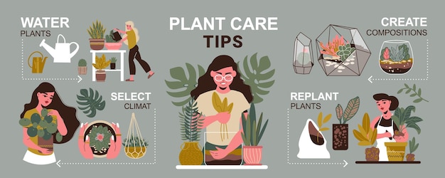 Infografía de plantas caseras con ilustración de macetas