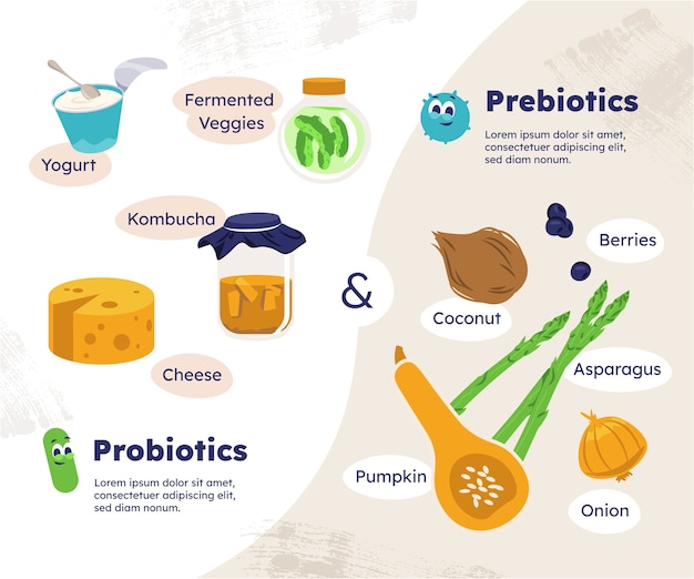Infografía de probióticos y prebióticos dibujada a mano