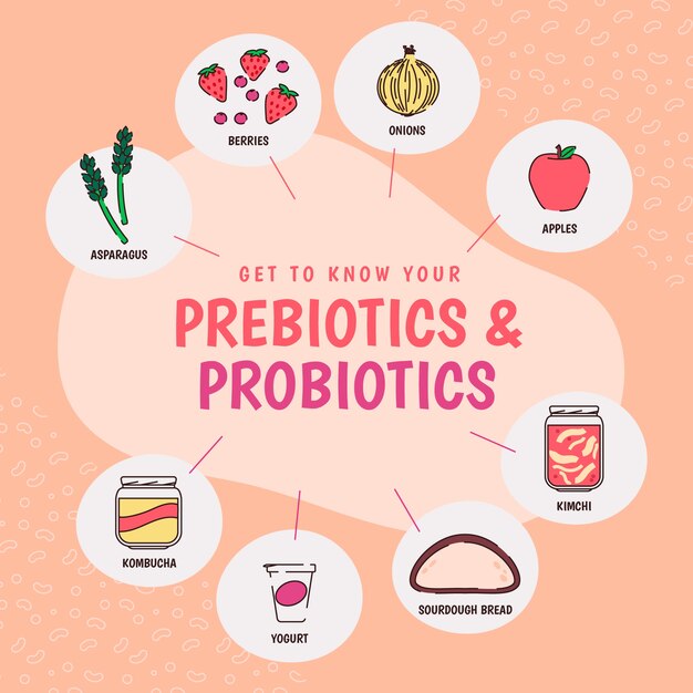 Infografía de probióticos y prebióticos dibujada a mano