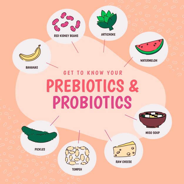Infografía de probióticos y prebióticos dibujada a mano