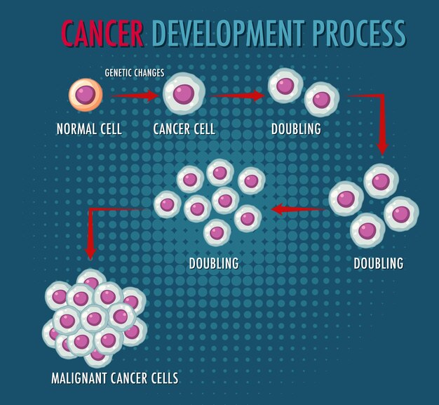 Infografía del proceso de desarrollo del cáncer.