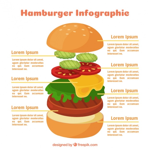 Vector gratuito infografía de sabrosa hamburguesa