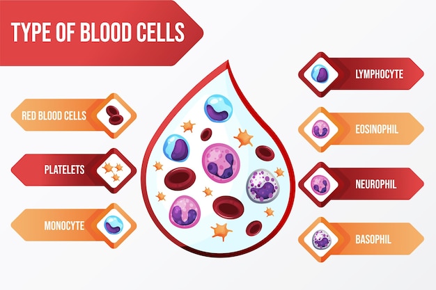 Vector gratuito infografía de sangre degradada