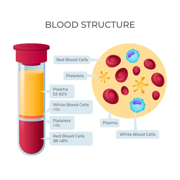 Vector gratuito infografía de sangre degradada