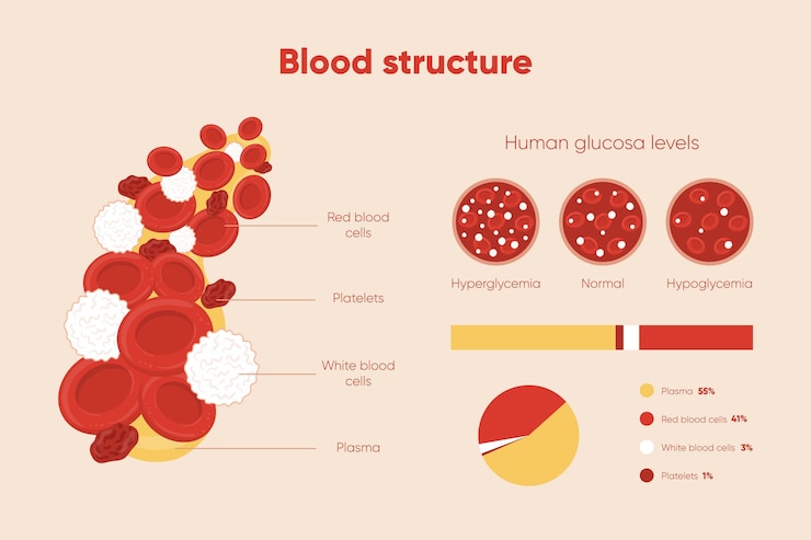Vector gratuito infografía de sangre dibujada a mano