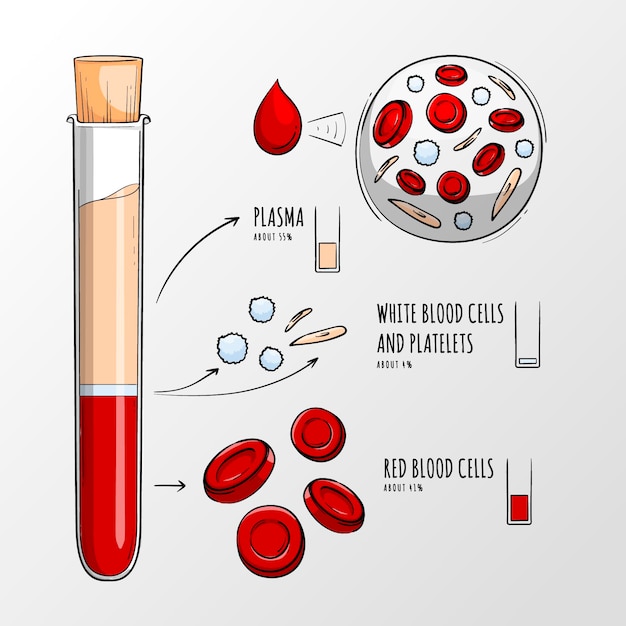 Vector gratuito infografía de sangre en dibujado a mano