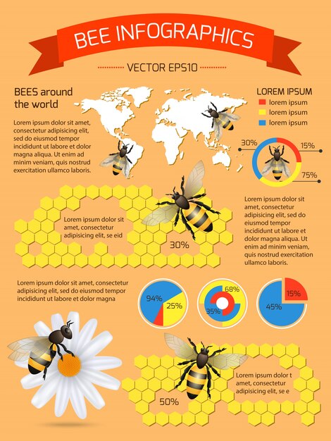 Infografía sobre las abejas